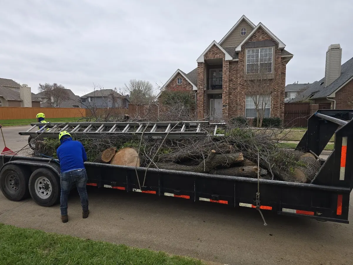 Expert Lot Clearing with proper safety equipment in Greenleaf